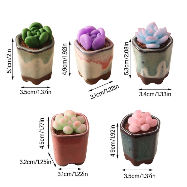 Dollhouse Succulent Bonsai Miniature Plant Potted 4 4 4