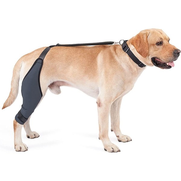 Knäskydd för husdjur Hundstödsbygel MRIGHT BEN HÖGER BEN MRight Leg