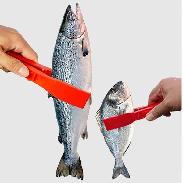 Fish Clip Fiskeutrustning 4 4 4