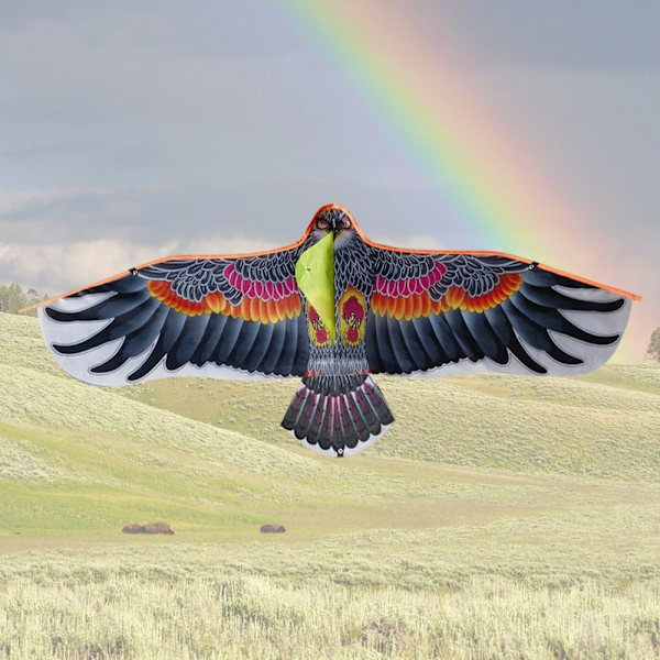 Eagle Kite Bird Leijat TYYPPI E TYYPPI E Type E