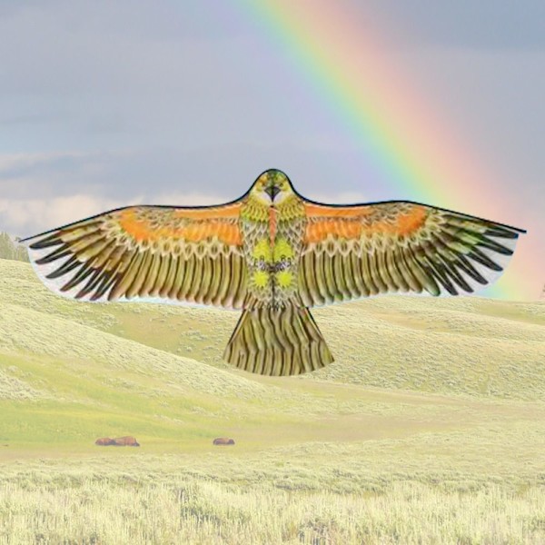 Flat Eagle Kite Bird Drakar TYP C TYP C Type C