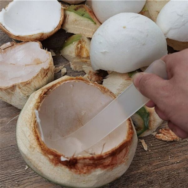 Digging Coconut Tool Coconut Meat Remover kookosleikkuri