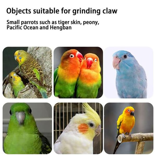 2kpl Parrot Roosting Station Platform 20CM2PCS C 2PCS C 20cm2pcs C