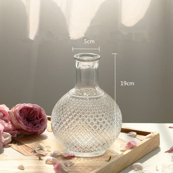 Glassvase Hydroponic Terrarium 6 6 6