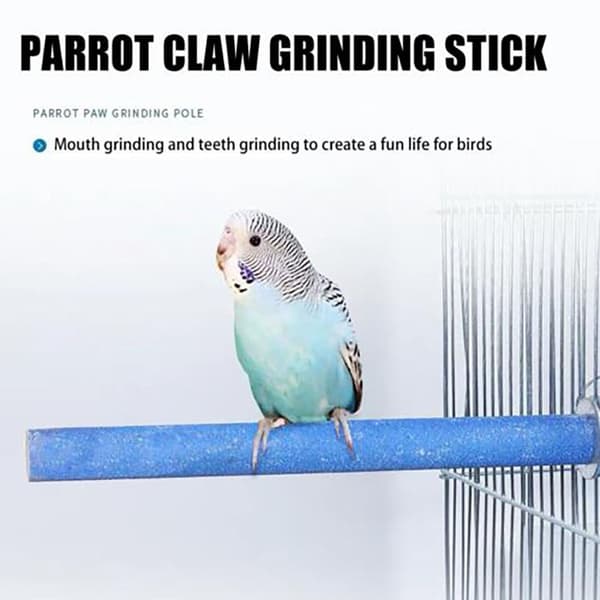 2kpl Parrot Roosting Station Platform 10CM2PCS A 2PCS A 10cm2pcs A