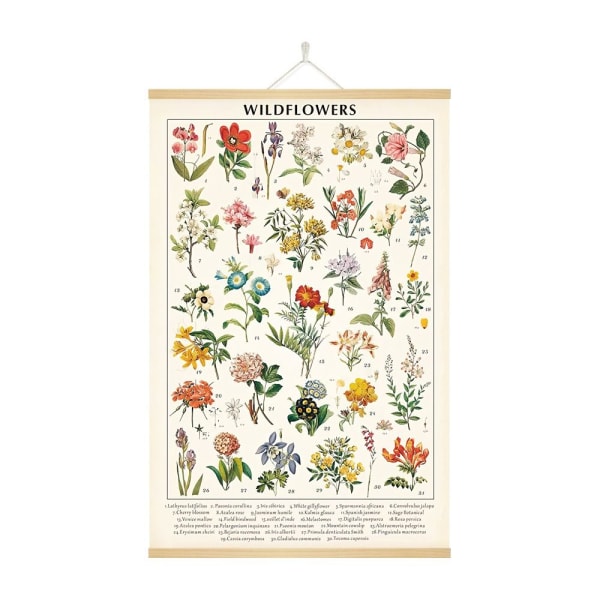 Vintage vilde blomster plakat Botaniske vægkunsttryk farverige