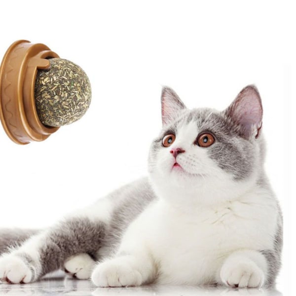 Naturlig kattmynta Cat Wall Stick-on Ball Toy
