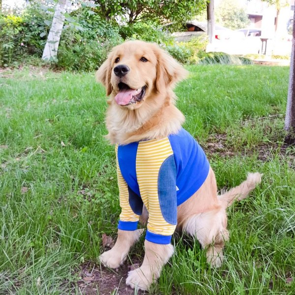 Hundkläder Pullover Kläder 4XL 4XL