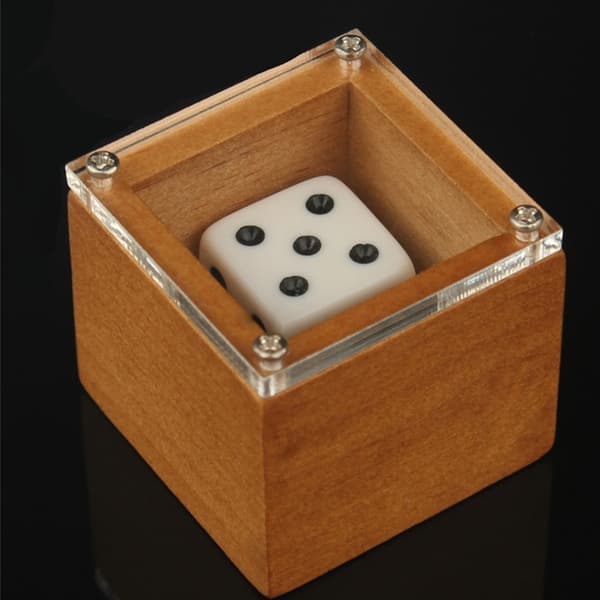Magic Dice Taikatemppuja Magic rekvisiitta