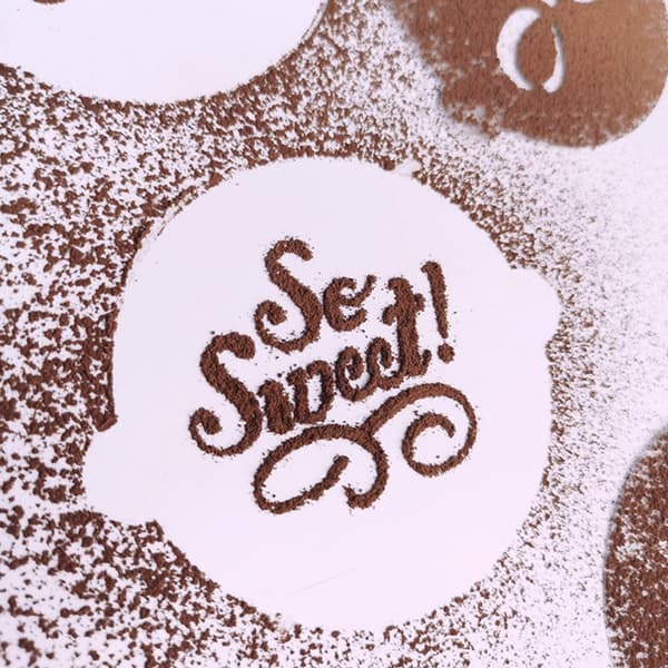 2Pack Cake Stencils Flower Spray Form 2Packs