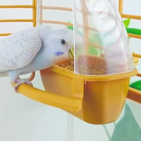 Bird Cage Feeder Matbehållare VIT White