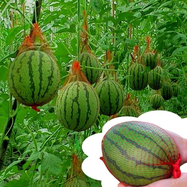 100 stk Vannmelon Nettnettpose 40CM 40CM 40cm