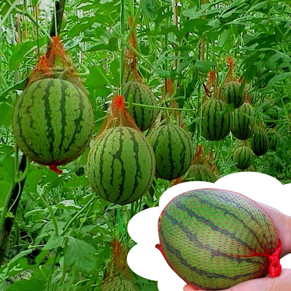 100 stk Vannmelon Nettnettpose 60CM 60CM 60cm
