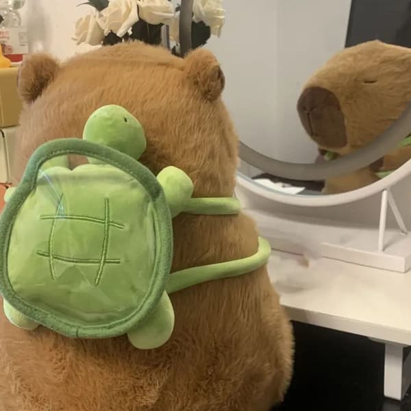 Capybara Plysch Simulation Capibara 35CMCAPYBARA CAPYBARA 35cmCapybara