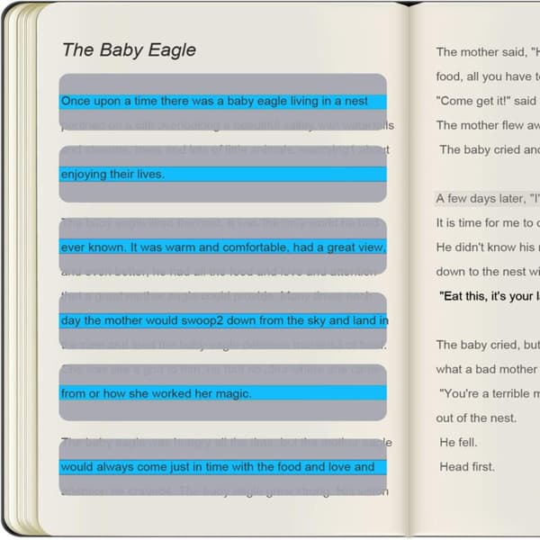 8 st Bokmärke Guide Card Guided Reading Bar D D D