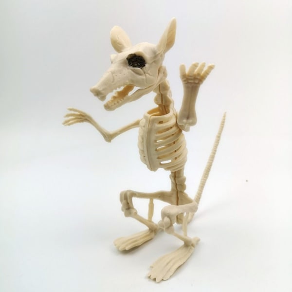 Halloween Movable Skeleton Animal Fake Skeleton MOUSE MOUSE mouse