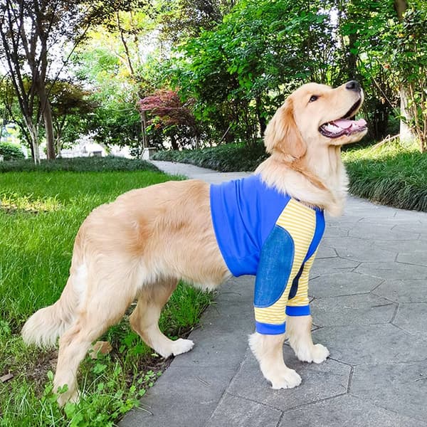 Hundkläder Pullover Kläder 4XL 4XL