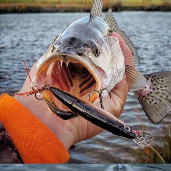 Minnow Baits lokker A A A