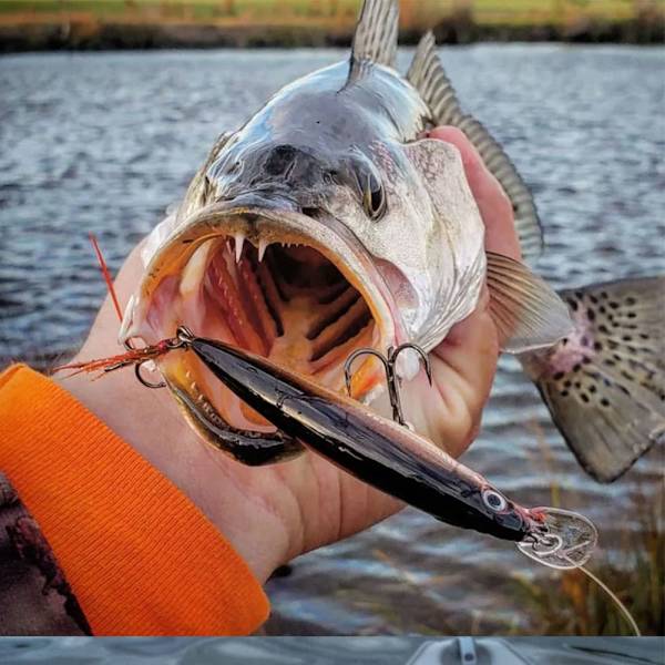 Minnow Baits lokker B B B