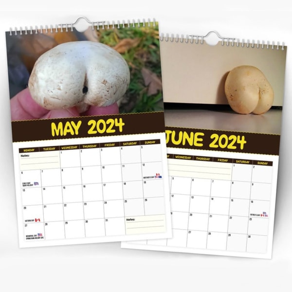 2024 Maailman suurimmat sienet -kalenteri Seinäkalenteri roikkuu