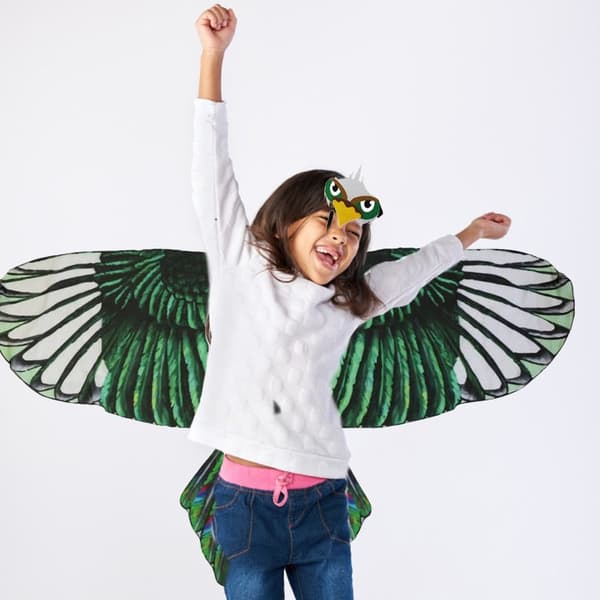 Eagle Wings Shawl Eagle Scarf 2 2 2