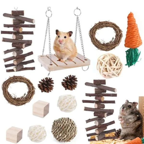 Hamsterin set, luonnonpuusta rottinkipallotarvikkeet 13pcs