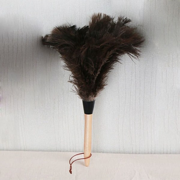 Feather Duster Strutsi Duster Feather M M