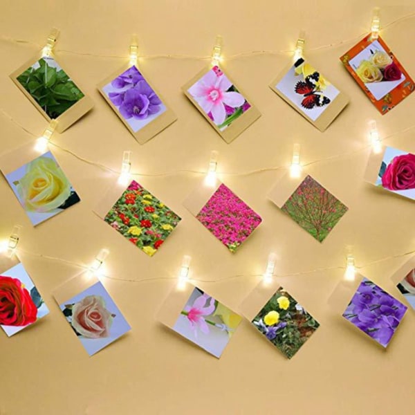 Clip Light String Light String String Light