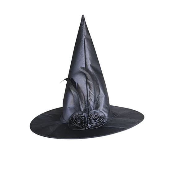 Halloween heksehat Feather Wizard hat LILLA purple