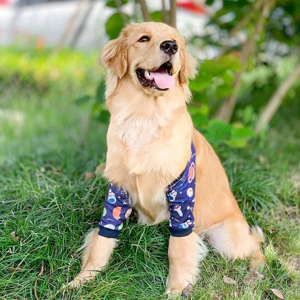 Hundeklær Pulloverklær XL7 7 XL7