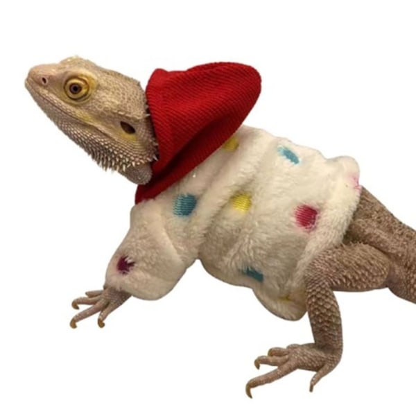 Bearded Dragon Costume Lizards Hættetrøje frakke POLKA DOT RØD HAT Polka dot red hat