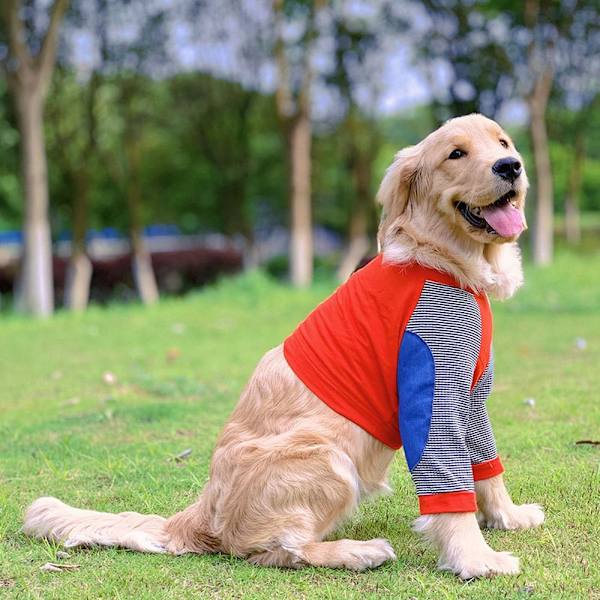 Hundkläder Pulloverkläder 6XL 6XL