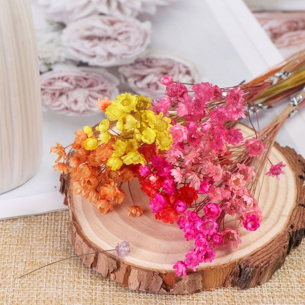 30st dekorativa torkade blommor Mini Daisy ROSA pink