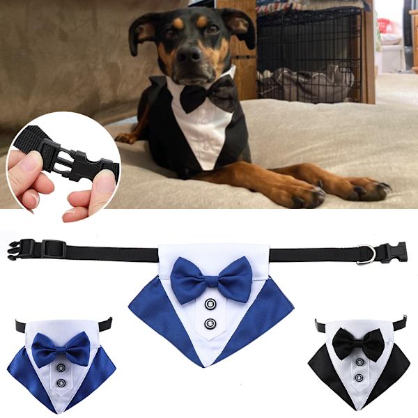 Hund Slips Formellt Slips SVART M black M