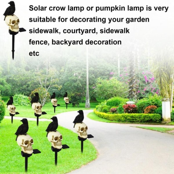 Skull Head Crow Pumpkin Solar Lamps LED Solar Light 4 4 4