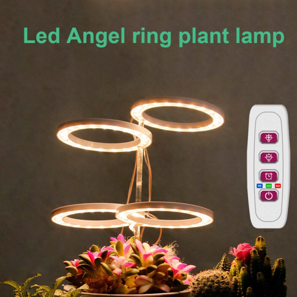 Grow Light Ring Lampe 3 RING 3 RING 3 Ring