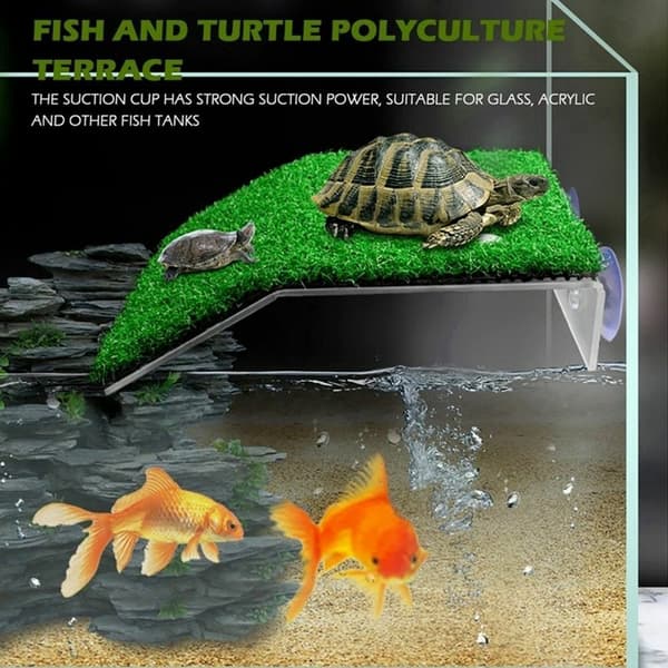 Sköldpadda Solplattform Akvarietillbehör M M