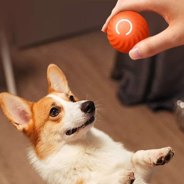 Hundelegetøjsbold Selvbevægende bolde ORANGE orange