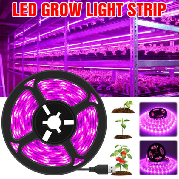 Phytolamp For Plant Plant Growth Light 4M 4M