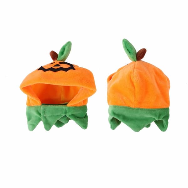 Katter Halloween Gresskarhatt Gresskardemonhette Kattehodeplagg