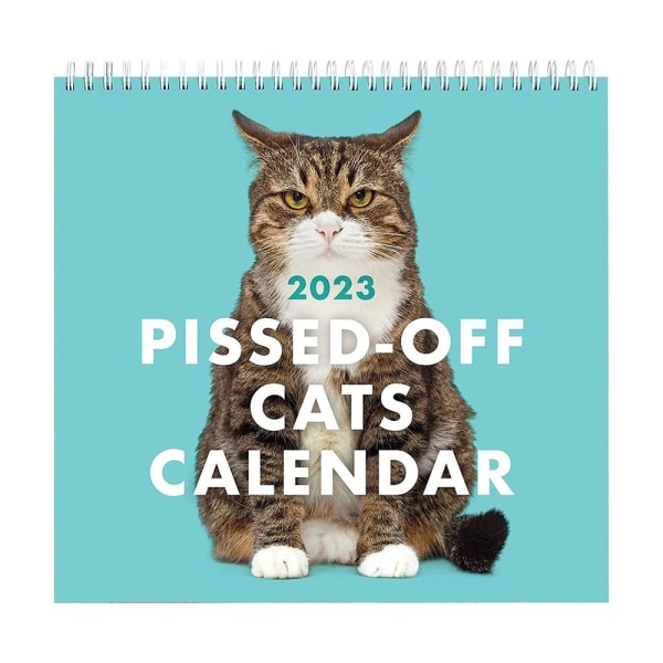 Pissed-off Cats Calendar Muinainen kissa kalenteri Hauska Cat Wall