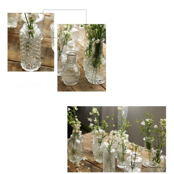 Glasvas Hydroponic Terrarium 9 9 9