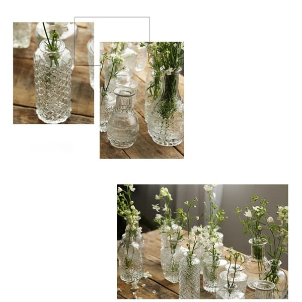 Glasvase Hydroponic Terrarium 2 2 2