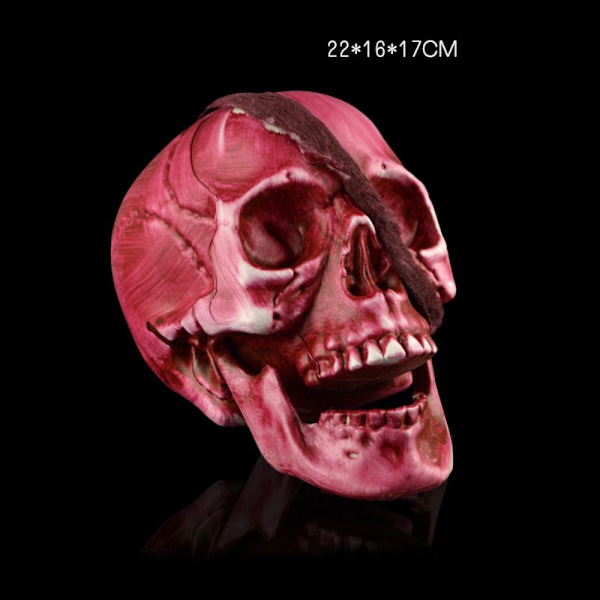 Skull Head Skull Decor 3 3 3