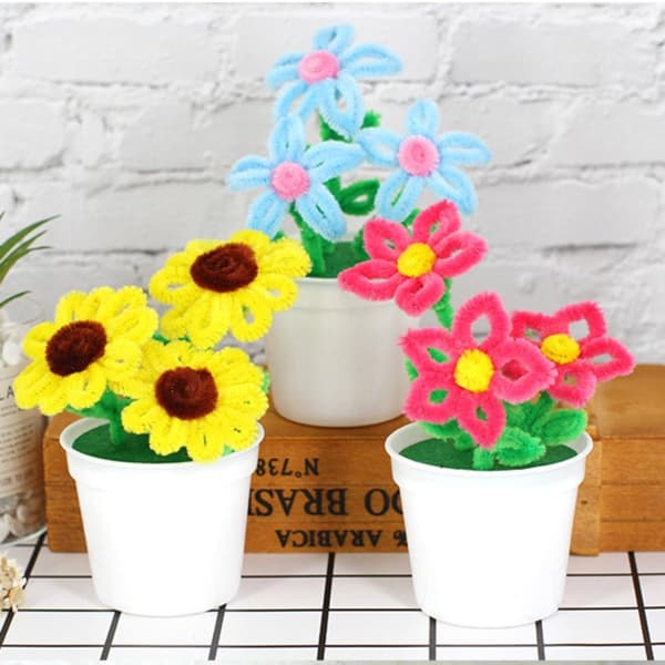 2 st Sköldpaddsblomma i krukväxt 9 9 9