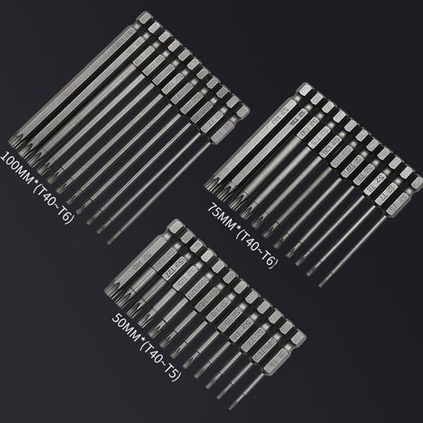 Torx-skrutrekkerbit Plommeblomstbits hult batchhode 12pcs-50mm