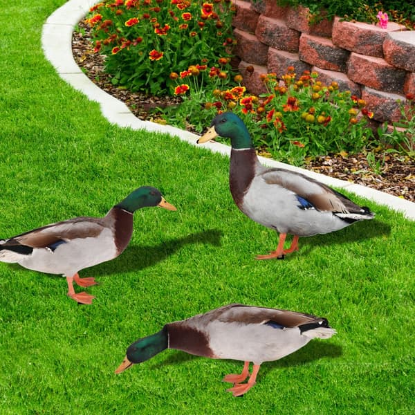 Akryl Duck Statyer Duck Sculpture B B B