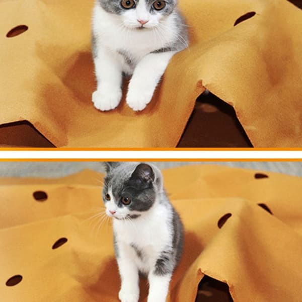 Cat Tunnel Cat Maze Activity Lekmatta
