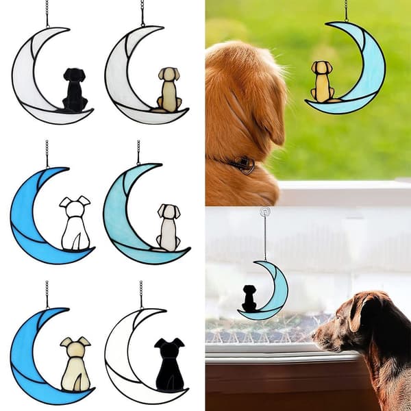 Hunde Minneanheng Hunde Solfanger B B B