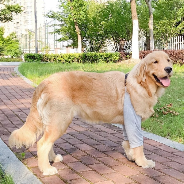 Koiran vaatteet Puserovaatteet 2XL6 6 2XL6